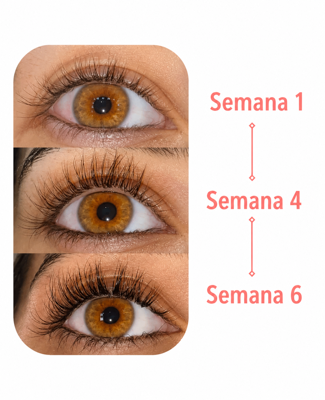 Serum Lash efecto WOW